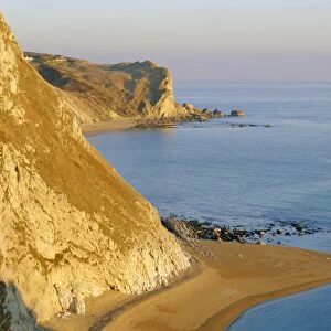 The coastline, Isle of Purbeck, Dorset, England, UK
