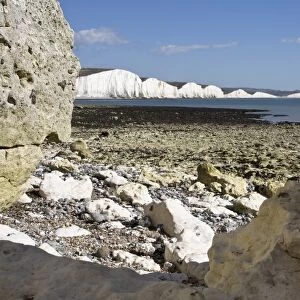 Coastline at Seven Sisters, Hope Cove, near Seaford, East Sussex, England, United Kingdom, Europe