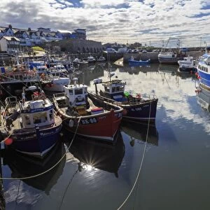 Colourful fishing boats in harbour and village beyond on a sunny summer evening, Seahouses