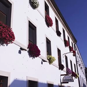 Colourful flowers on facade of hotel, Olomouc, Moravia, Czech Republic, Europe