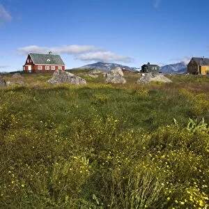 Colourful houses, Port of Nanortalik, Island of Qoornoq, Province of Kitaa