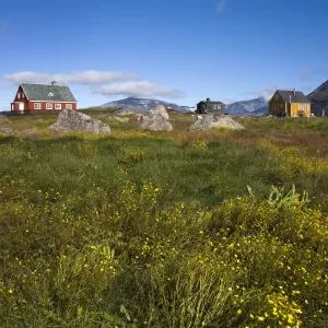 Colourful houses, Port of Nanortalik, Island of Qoornoq, Province of Kitaa