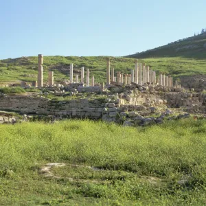 Columns of Byzantine Civic Centre Church dating from around 400 AD, built over earlier Roman civic centre, Pella, Jordan Valley, Jordan