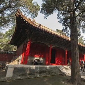 Confucius Forest and Cemetery, Qufu, UNESCO World Heritage Site, Shandong province