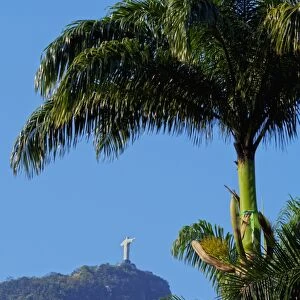 Corcovado and Christ statue viewed through the palm trees of the Botanical Garden