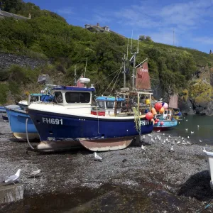 Cornish fisherman on beach at Cadgwith, Lizard Peninsula, Cornwall, England