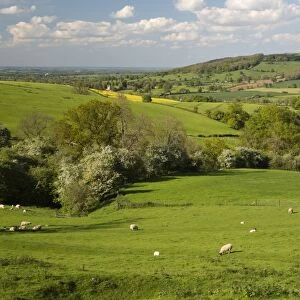 Cotswold landscape, near Winchcombe, Cotswolds, Gloucestershire, England, United Kingdom, Europe