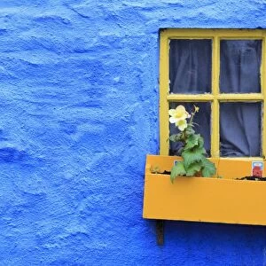 Cottage window, Kinsale Town, County Cork, Munster, Republic of Ireland, Europe