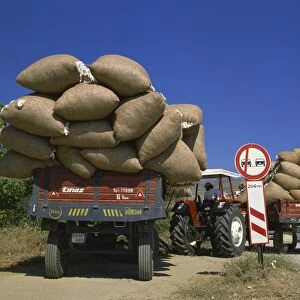 Cotton being transported to auction, Ganakale, Anatolia, Turkey, Asia Minor, Eurasia