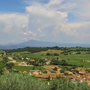 Countryside around Chateuneuf du Pape, Vaucluse, Provence Alpes Cote d Azur region