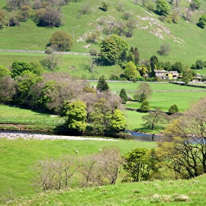 Countryside near Burnsall, Wharfedale, Yorkshire Dales, Yorkshire, England, United Kingdom, Europe