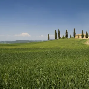 Countryside near Pienza