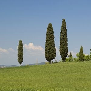 Countryside near Pienza