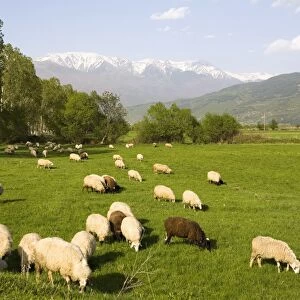 Countryside near Rila Mountains, Bulgaria, Europe