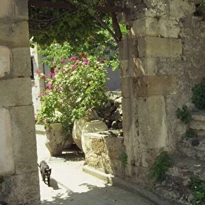 Courtyard entrance, Kastelli, near Chania, Crete, Greek Islands, Greece, Europe