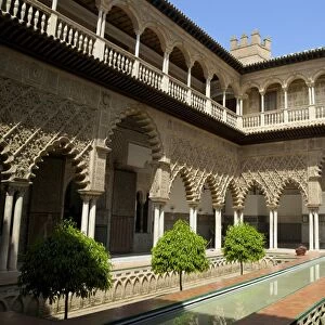 Courtyard garden, Alcazar, UNESCO World Heritage Site, Seville, Andalucia, Spain, Europe