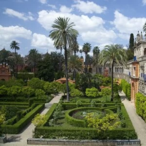 Courtyard gardens, Alcazar, UNESCO World Heritage Site, Seville, Andalucia, Spain, Europe