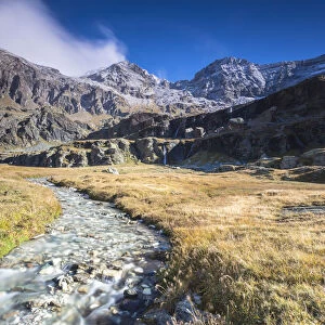 Creek flowing between meadows, Alpe Fora, Malenco Valley, province of Sondrio, Valtellina