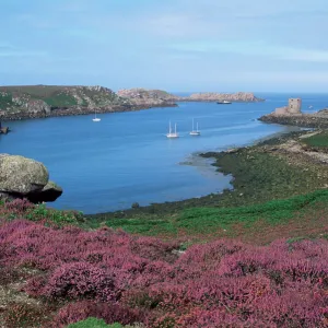 Cromwells Castle, Tresco, Isles of Scilly, United Kingdom, Europe