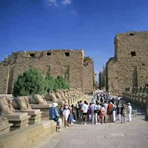 Crowd of tourists on the Processional Avenue, lined with ram-headed sphinxes