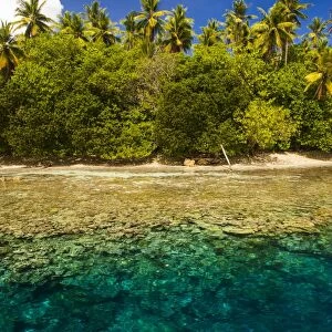Crystal clear water and an islet in the Ant Atoll, Pohnpei, Micronesia, Pacific