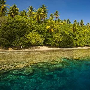 Crystal clear water and an islet in the Ant Atoll, Pohnpei, Micronesia, Pacific