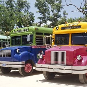 Custom painted buses