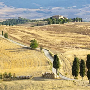 Cypress trees and fields in the afternoon sun at Agriturismo Terrapille (Gladiator