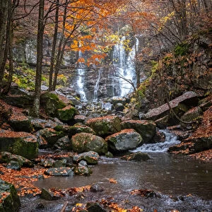 Dardagna waterfalls and river with autumn foliage, Emilia Romagna, Italy, Europe