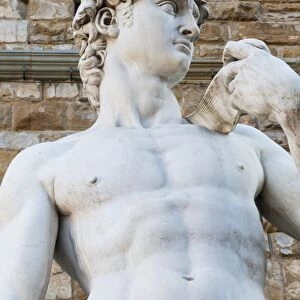 David by Michelangelo dating from the 16th century, Piazza della Signoria, Florence (Firenze), UNESCO World Heritage Site, Tuscany, Italy, Europe