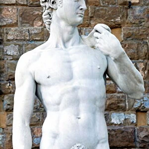 The David, Piazza della Signoria, Florence (Firenze), UNESCO World Heritage Site