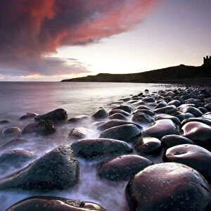 Dawn over Embleton Bay with basalt boulders in the foreground and the ruins of Dunstanburgh Castle in the background, near Alnwick, Northumberland, England, United
