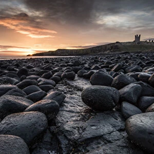 Dawn light reflecting on the rocks at Dunstanburgh Castle on the North East Coast