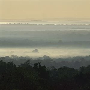 Dawn over rain forest of Biosphere Reserve, Peten, Guatemala, Central America