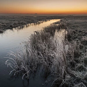 Dawn in winter, Elmley National Nature Reserve, Isle of Sheppey, Kent, England
