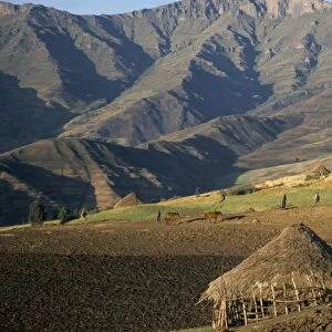 Debirichwa village in early morning, Simien Mountains National Park, UNESCO World Heritage Site