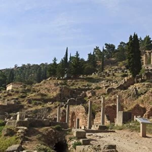 Delphi, UNESCO World Heritage Site, Peloponnese, Greece, Europe