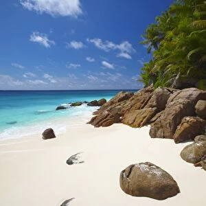 Deserted beach, La Digue, Seychelles, Indian Ocean, Africa