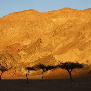 Desertscape, near Nuweiba, Sinai, Egypt, North Africa, Africa