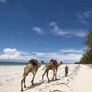 Diani Beach, near Mombasa, Kenya, East Africa, Africa