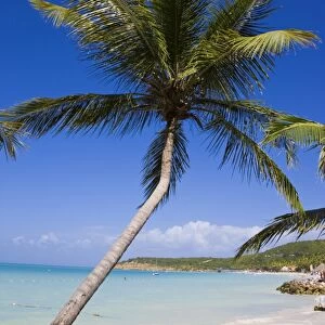 Dickenson Bay Beach, the largest and most famous beach on the island, Antigua