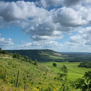 Distant view of Box Hill, near Dorking, Surrey Hills, North Downs, Surrey