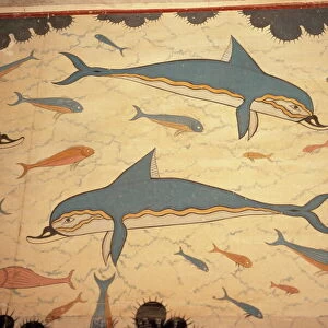 Dolphin fresco