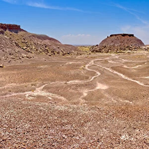 A dome shaped hill of purple bentonite with a rocky flat top in Petrified Forest National