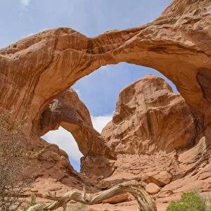 Double Arch, Windows Section, Arches National Park, Utah, United States of America, North America