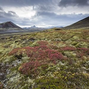 Dramatic frozen landscape, Snaefellsnes Peninsula, Iceland, Polar Regions