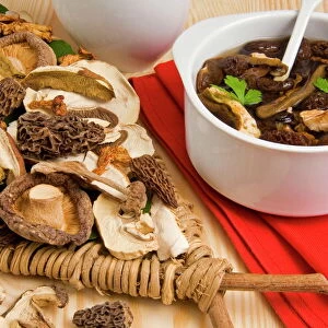 Dried mushrooms, ceps, morels, shitake and chanterelles, Italy, Europe