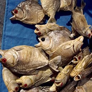Dried piranha fish for sale in Santarem in Brazil, South America