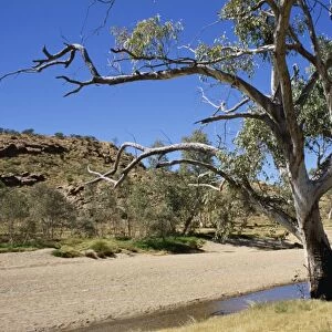 Dry bed of Todd River, Alice Springs, Northern Territory, Australia, Pacific
