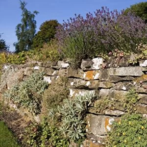 Drystone wall, Grassington, Yorkshire Dales National Park, North Yorkshire